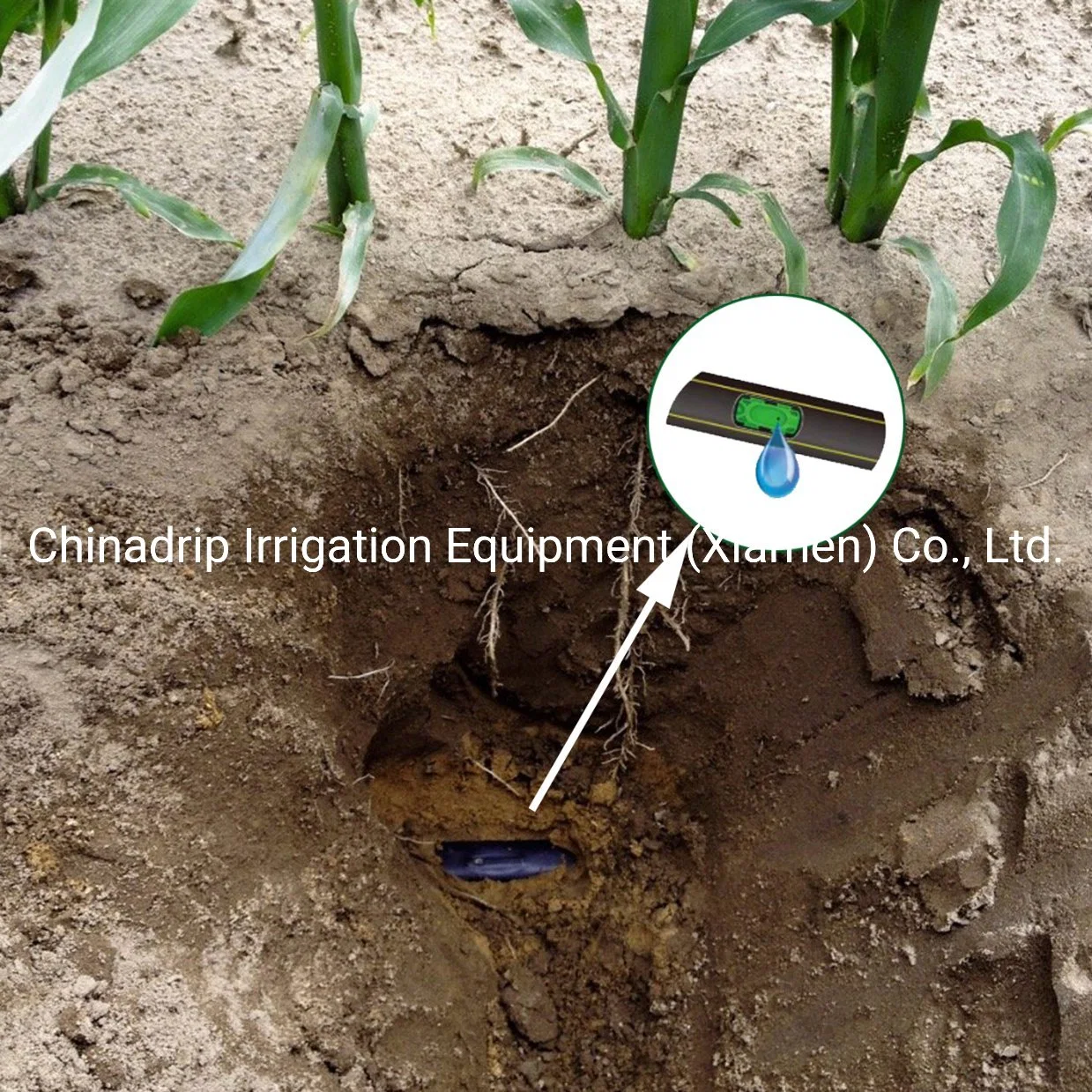 Agriculture Farm Drip Irrigation System Pressure Compensating Drip Pipe Irrigation