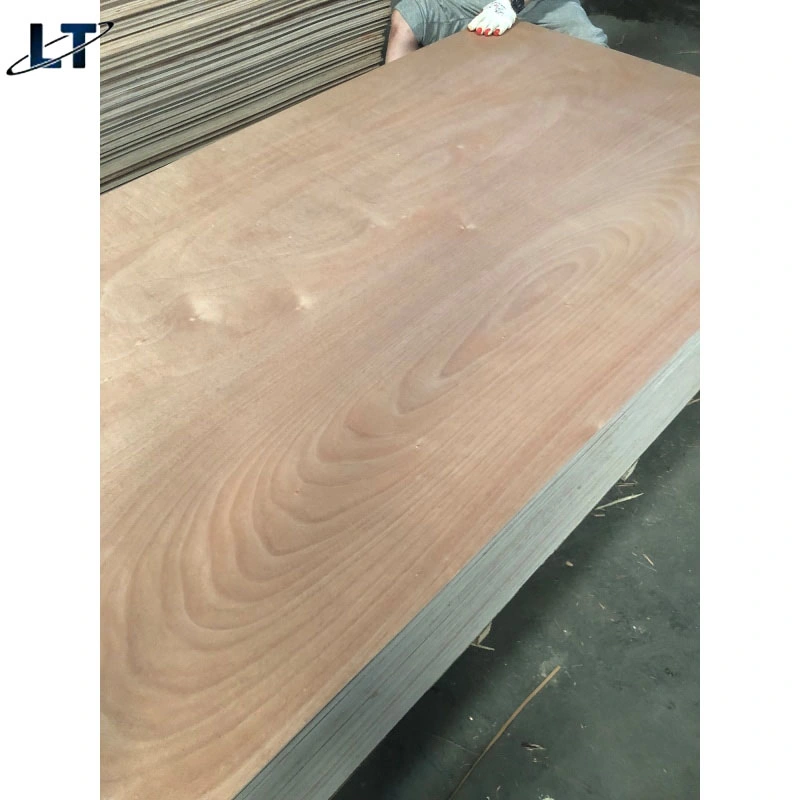 Linyimany Types Construction Decoration Maple Hardwood Wood Timber