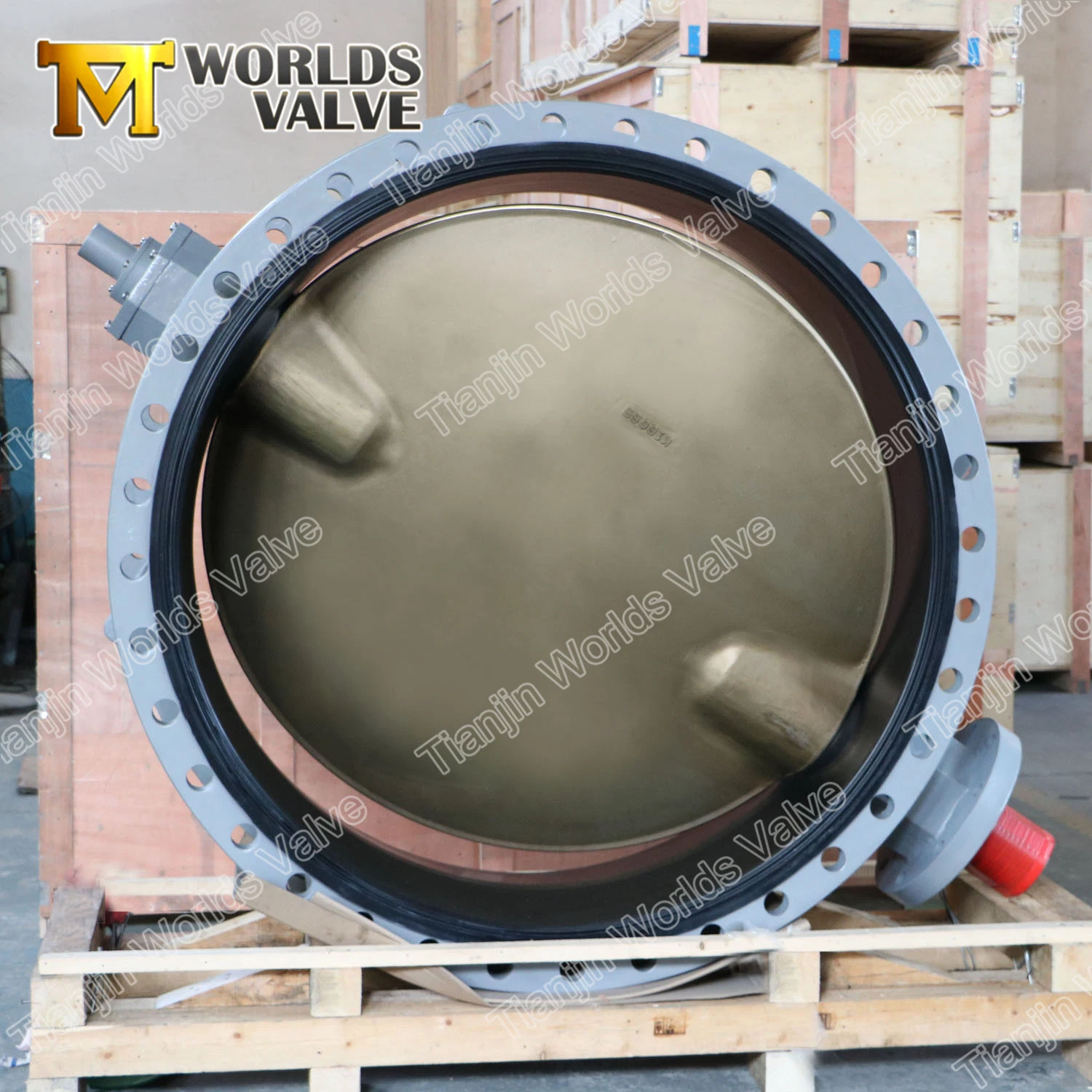 Soft Rubber FKM Seat Pressure Reducing Manual Butterfly Valves ABS Rina Dnv Lr Lloyd&prime;s Register Approved Industrial Control Check Valves From Worlds Valve