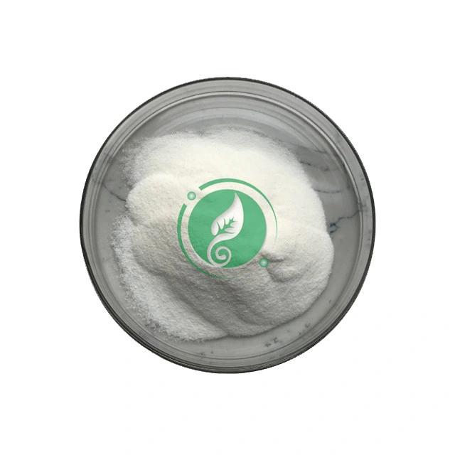 ISO Factory Lidocaine Base/Lidocaine HCl/Tetracaine HCl/Benzocain/Levamisole HCl/Articaine HCl 137-58-6 /73-78-9/136-47-0/94-09-7/16595-80-5/23964-57-0 Powder