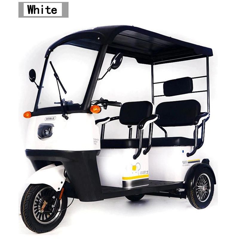 Adultos E Trike 3 rueda cargo bicicleta de pasajeros motocicleta Adulto Con Tricycles eléctricos de techo
