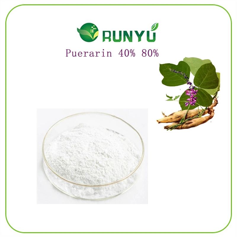 CAS 3681-99-0 Factory Supply Organic Pueraria Extract Powder 40% 80% Isoflavone Puerarin