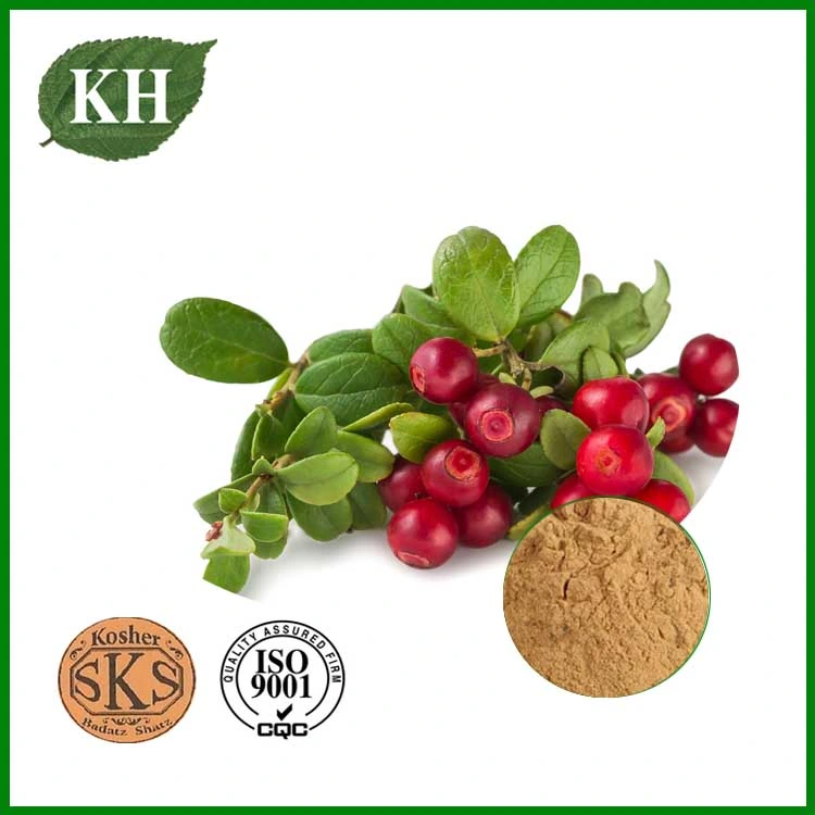 High Natural Bearberry Extract 20%, 99% Arbutin/Arctostaphylos UVA-Ursi