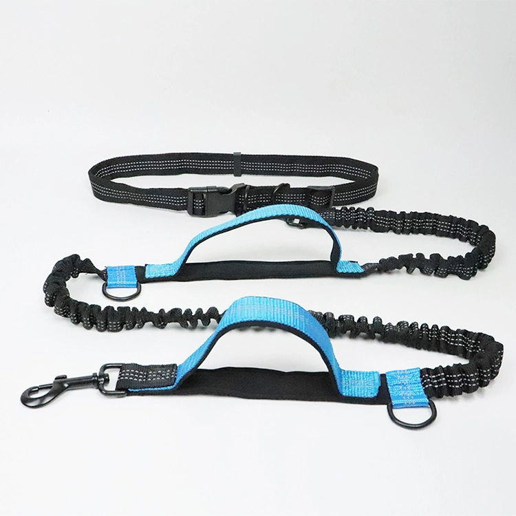 Pet Leash Multifunctional Running Reflective Double