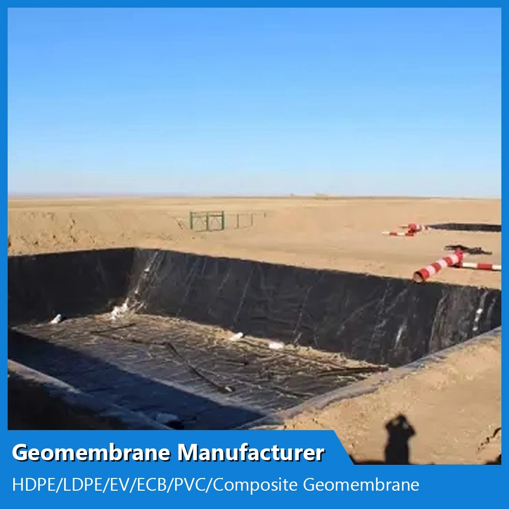 Customized HDPE/LDPE/PE/EV/ECB/PVC Textured/Composite Geomembrane Manufacturer for Aquaculture/Fish Farm/Shrimp/Pond/Dam/Landfill/Mining/Salt/Tailing Liner