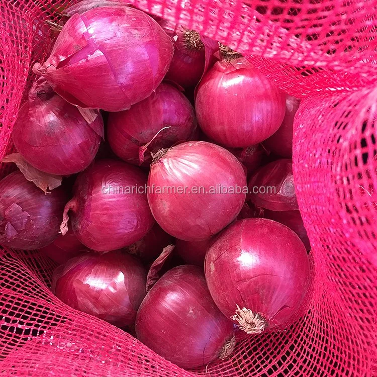 Amarelo fresco cebola cebola castanha ou preço de cebola pelado 1 Kg