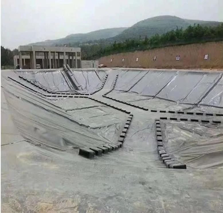 Cheap Price Black 0.2mm-2.5mm China Geotextile and Sheet Pond HDPE Geomembrane Liner