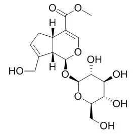 ISO Certified Reference Material	98%	Geniposide	24512-63-8 Standard Reagent