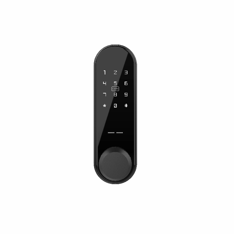 Jixin Zhongshan Lock Manufacturers Secure Safe Locks Smart Glass Door Lock