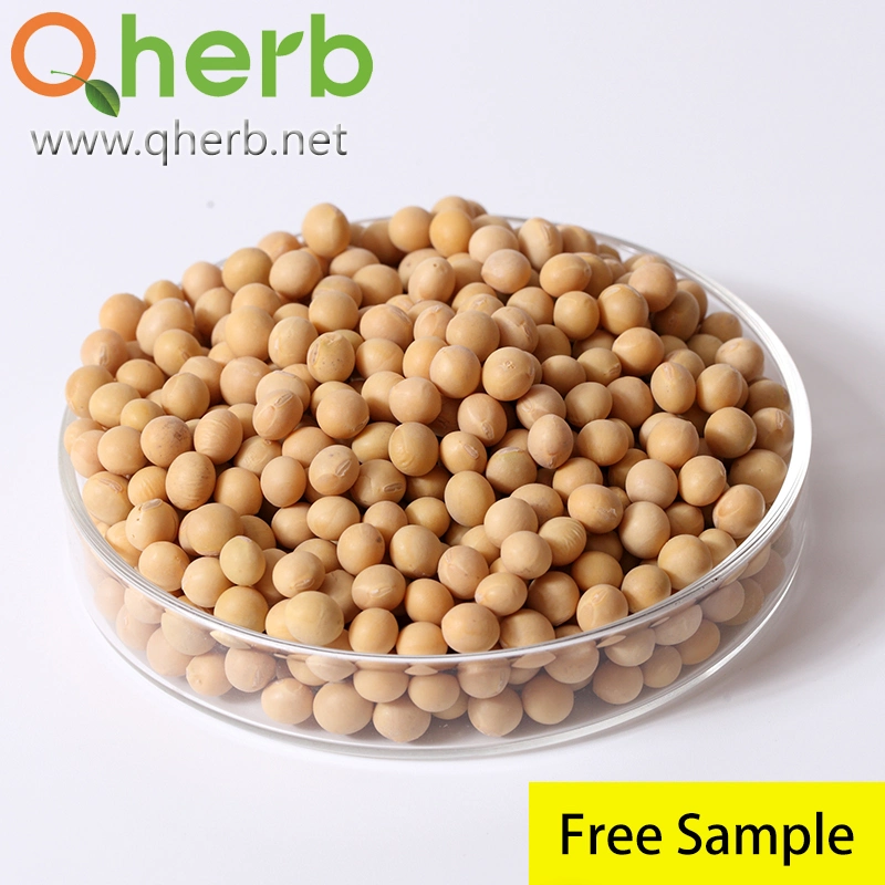 ISO Halal Certified Non-GMO 100% Natural 40% Soy Isoflavone Soybean Extract