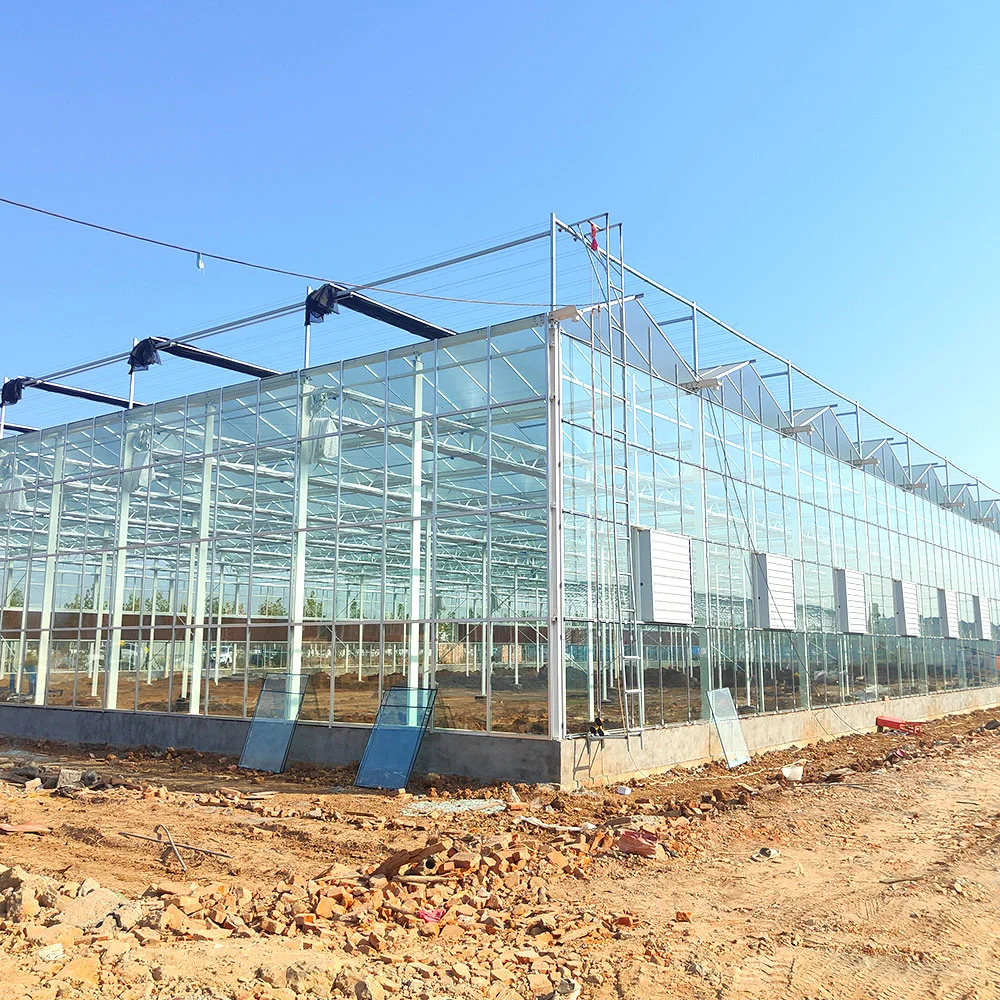Turnkey Project Agricultural Multi Span Film/Polycarbonate/Glass Hot Galvanizing Greenhouse with Hydroponics Irrigation System for Flower Garden