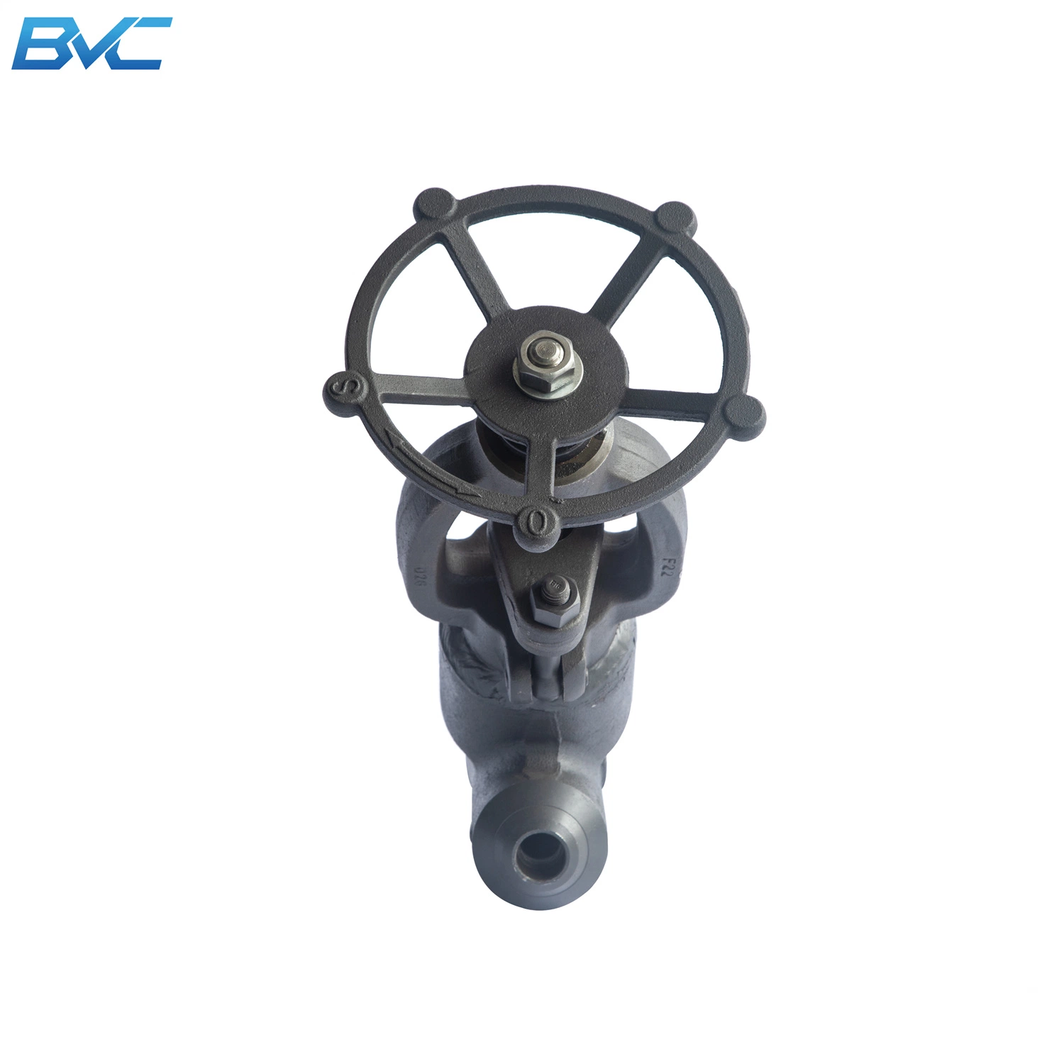 A105n Flanged End Manual Forged Steel Gate Valve with Price List