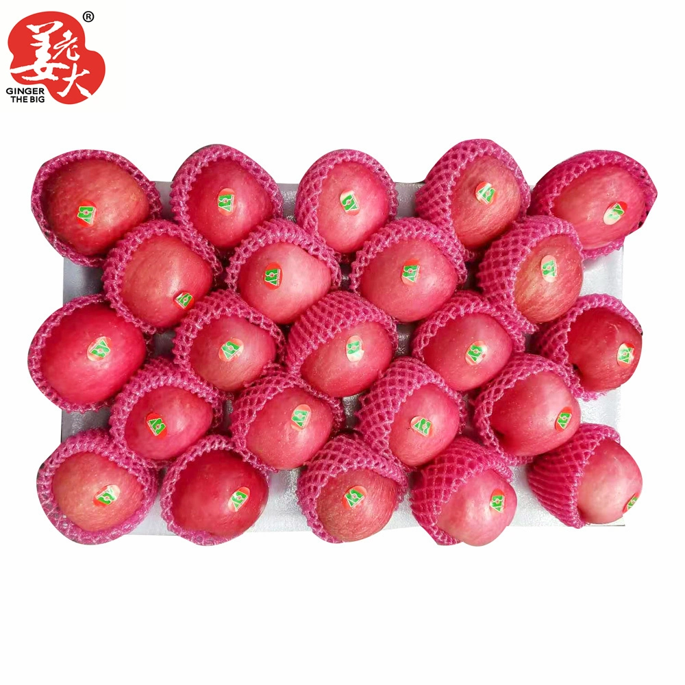 2021 Nueva Cosecha China dulce de manzana Fuji en sacos de papel rojo