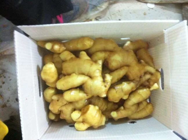 2020 New Crop Chinese Fresh Ginger with PVC Box Packing