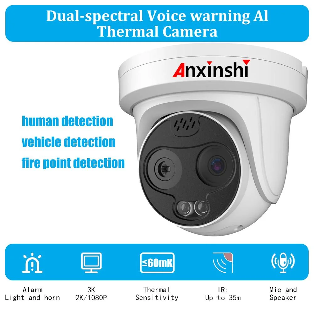 Temperature Detection Human Detection Vehicle Detection Fire and Smoking Detection Alarm Ai Thermal Dome CCTV Camera