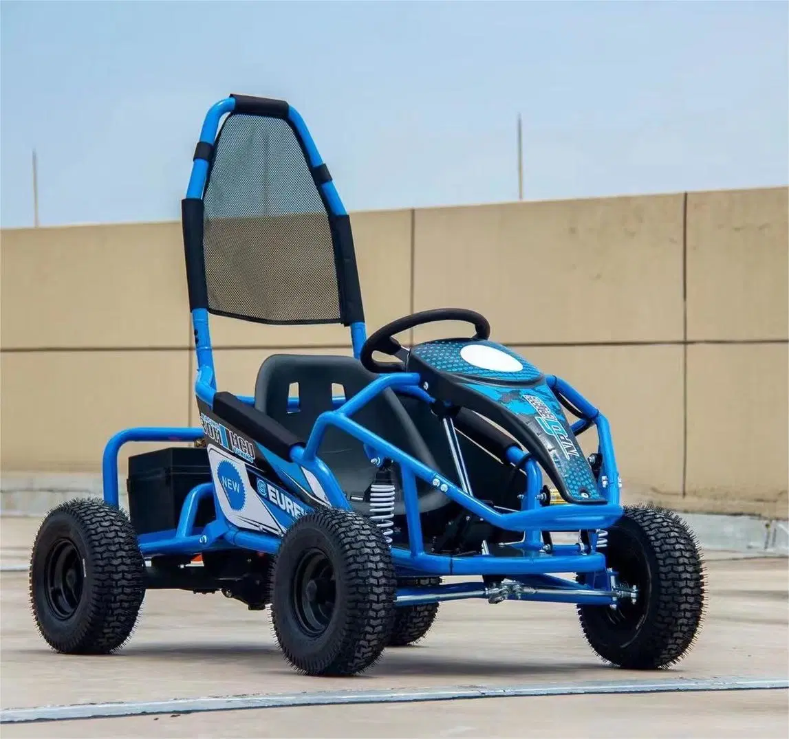 Wholesale/Supplier Customized High Speed Electric Go Kart Kit Frame Karting Cars for Racing