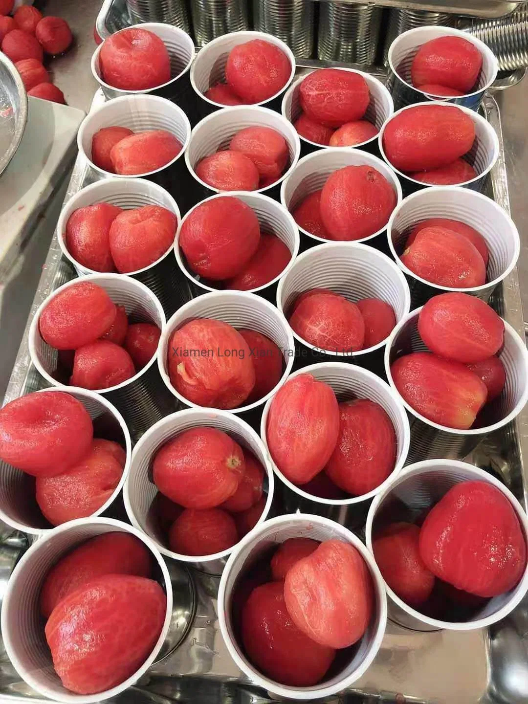 Tomate pelado inteiro em conserva de alta qualidade na pasta de tomate Embalagem de estanho