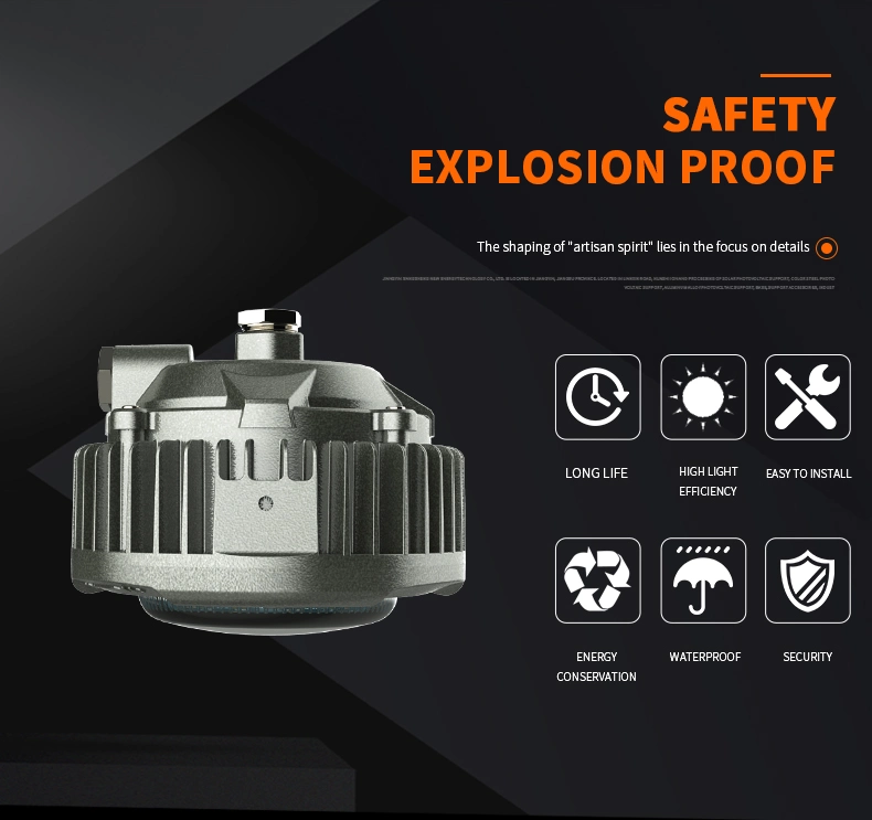 Atex Approved LED Explosion Proof Light IP66 Flood Light 20W/25W/30W China Professional Lighting Supplier