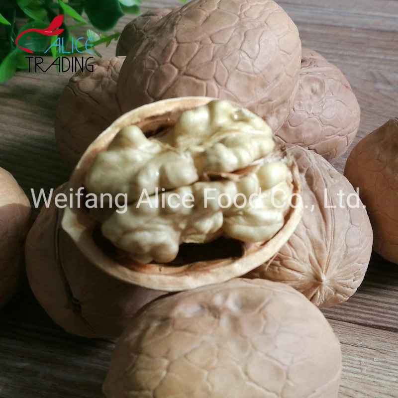 China Made Bulk Quality 28mm/30mm/32mm up Walnut in Shell Xinjiang Walnut