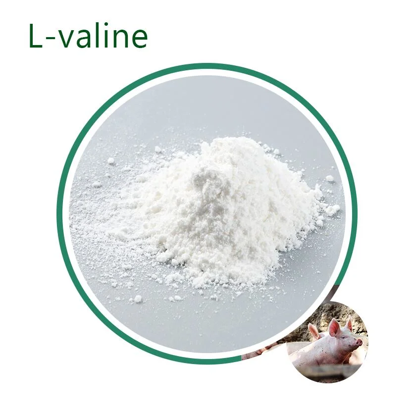 Best Price Food Grade 99% Essential Amino Acid, L-Valine CAS 72-18-4 Bulk Powder for Poultry