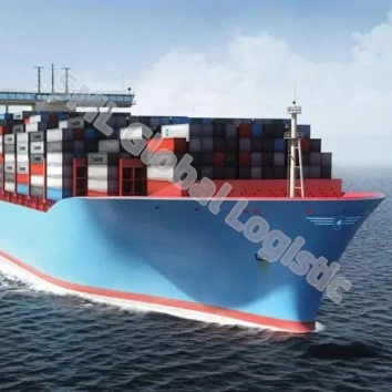 Reenviador envío Transporte Shenzhen Envío de Amazon de LCL FCL/Agente de Transporte Marítimo de Yiwu China Ocean Shipping Agency de EEUU/UK por mar a la puerta