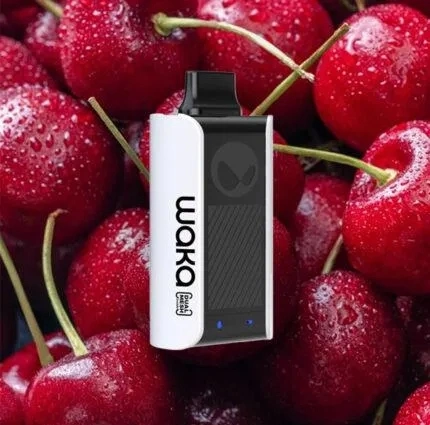 USA Hot Selling Fruit Flavors Disposable/Chargeable Pod Waka Vape Sopro PA10000 Puffs Joact Wholesale/Supplier