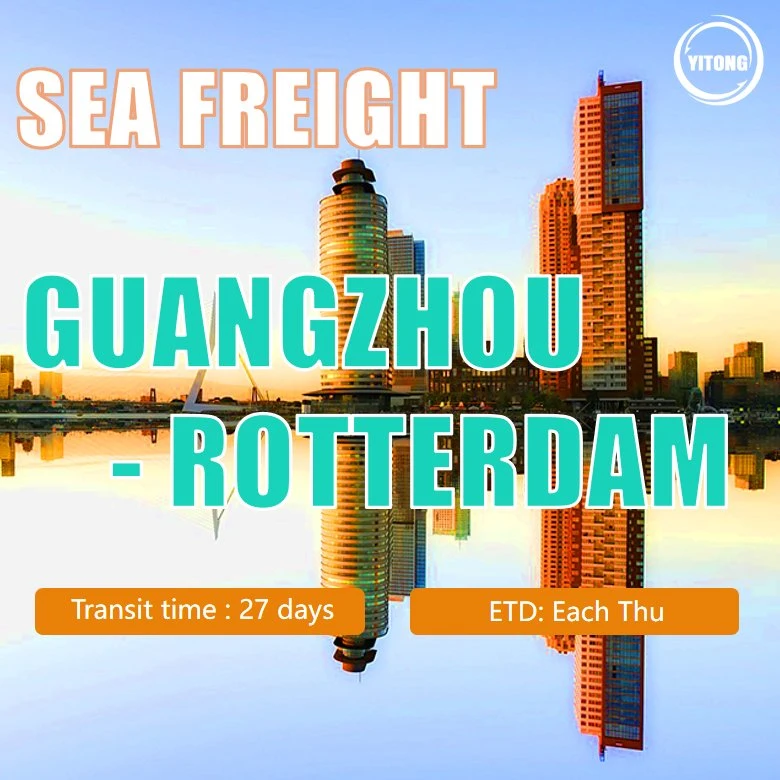 Tarifa de transporte marítimo desde Xiamen a Rotterdam