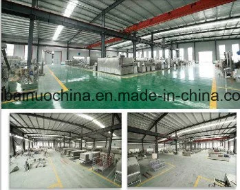 China New Design Automatic Artifical Rice Machinery, Nutritious Rice Maker, Extrusion Rice Processing Line