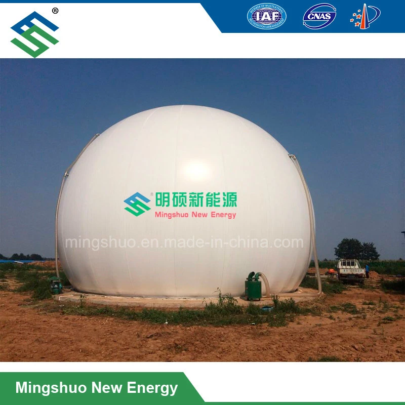 Biogas Storage Bag for Biofuels and Other Gases