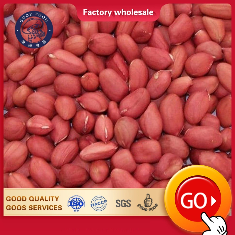 Dried Kernel Peanuts Groundnut Raw/Fresh Red Skin Arachid for Sale Chinese Factory