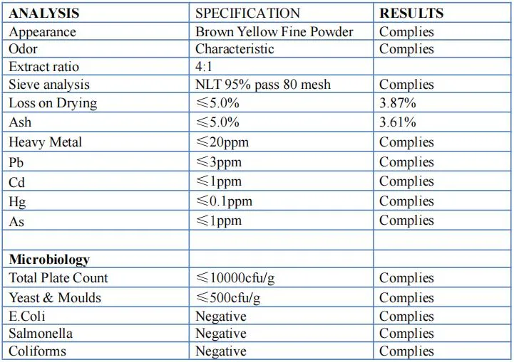 Reishi Mushroom Extract Powder with 4: 1 10: 1