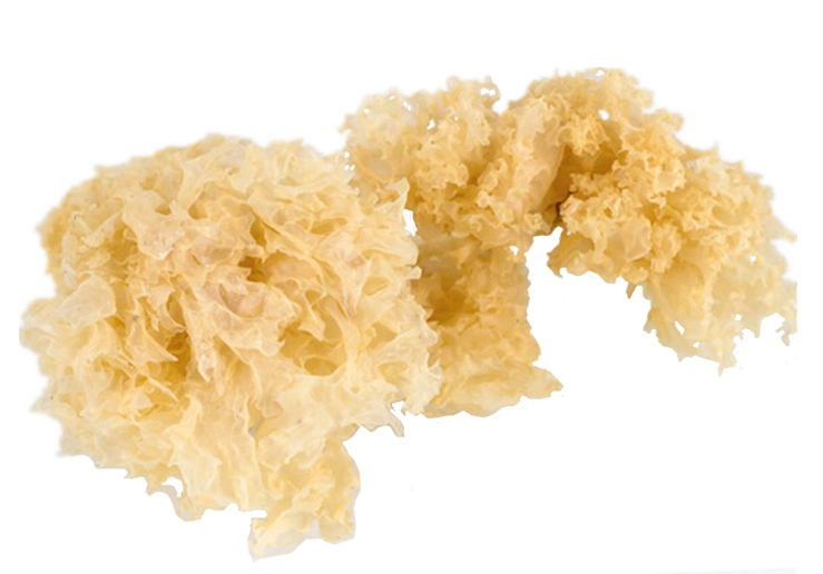 High quality/High cost performance  Dried White Fungus Snow Fungus Factory Price Whole Tremella