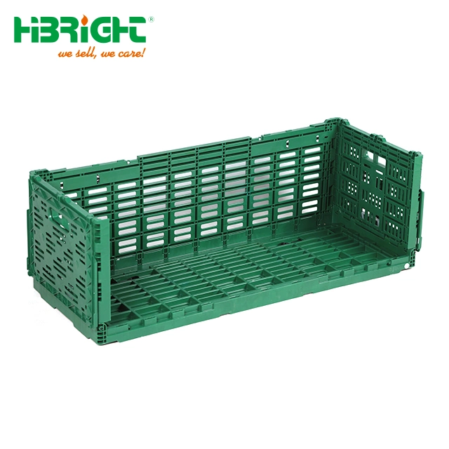 Folded Size 400 1000 75 mm PP Foldable Cage for Moving Transport Fresh Cut Flower