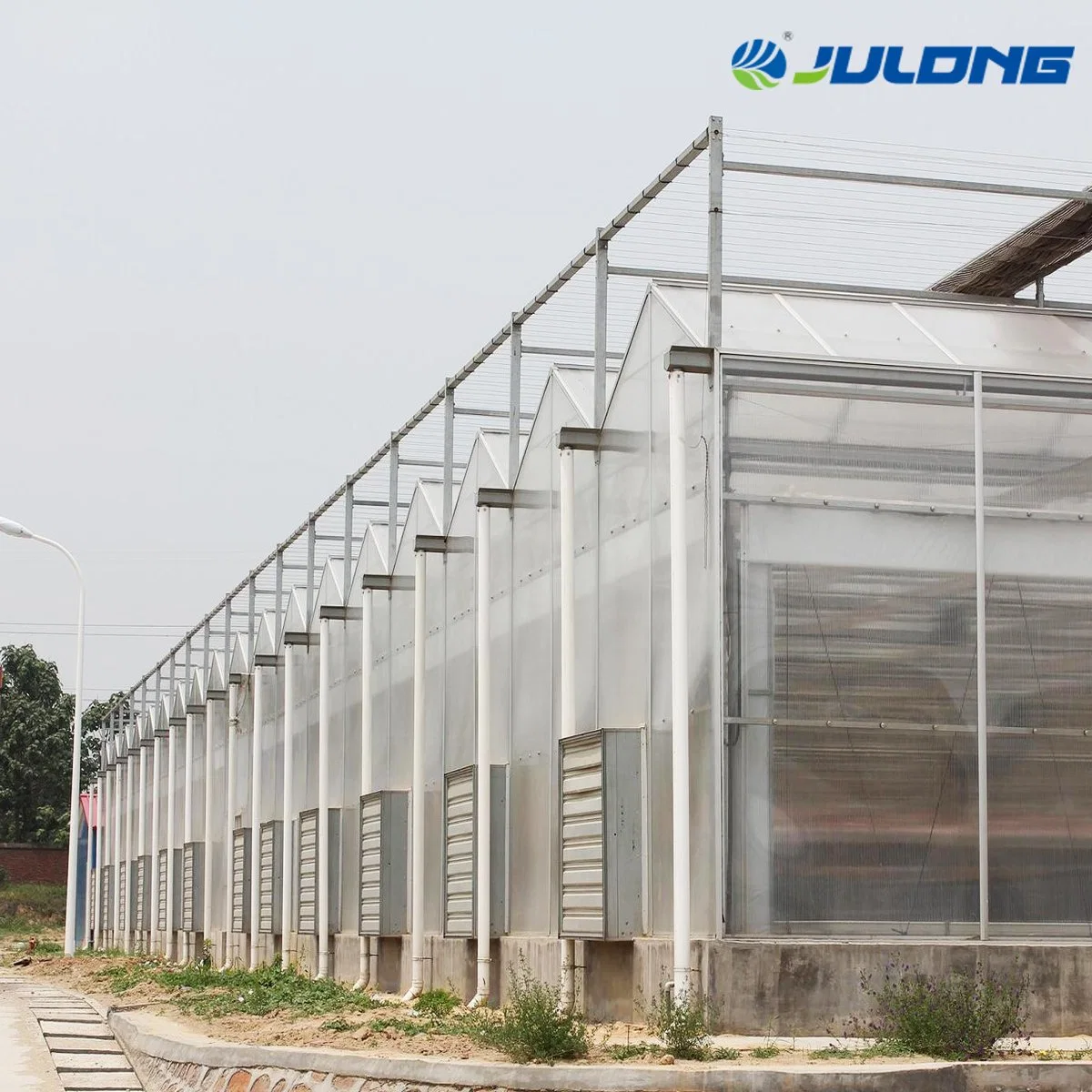 Cost-Effective PC Sheet Greenhouse for Tomato Hydroponic Growing in Middle Asia Area