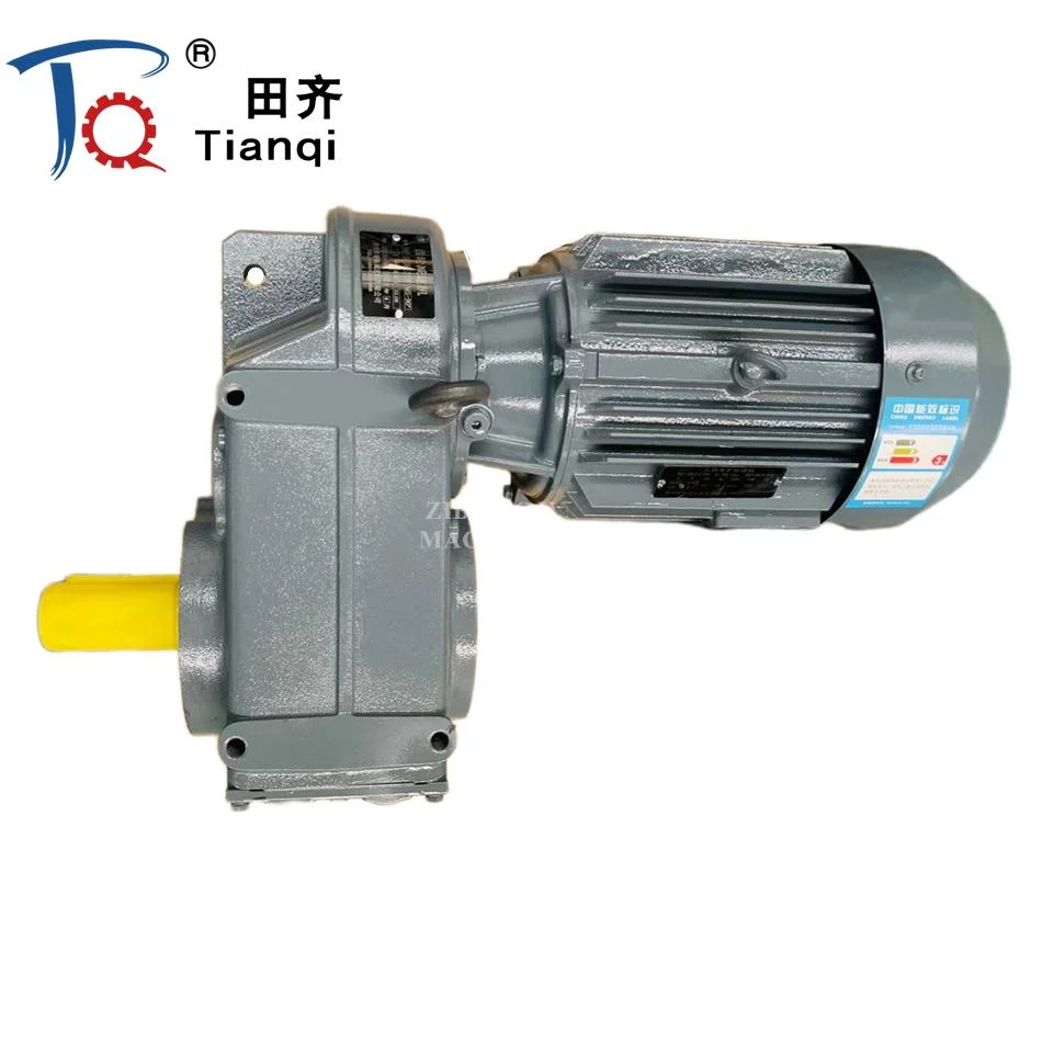 Crane Hollow F Series Parallel Shaft Gearbox Gear Motor for Open Door