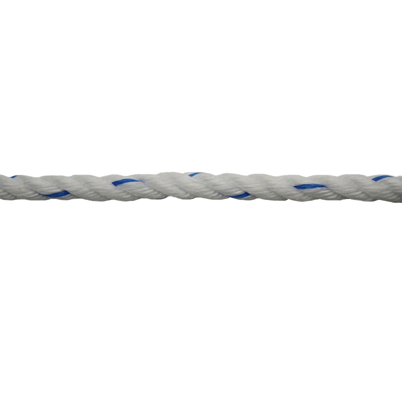 10mm 3 Strands PP Danline Rope for Fishing