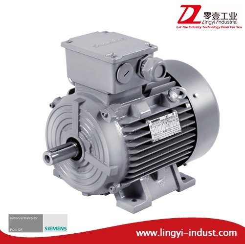 Ce Approved Single Phase Induction Motor AC Motor Electric Motor for Jet Aerator Manufacture