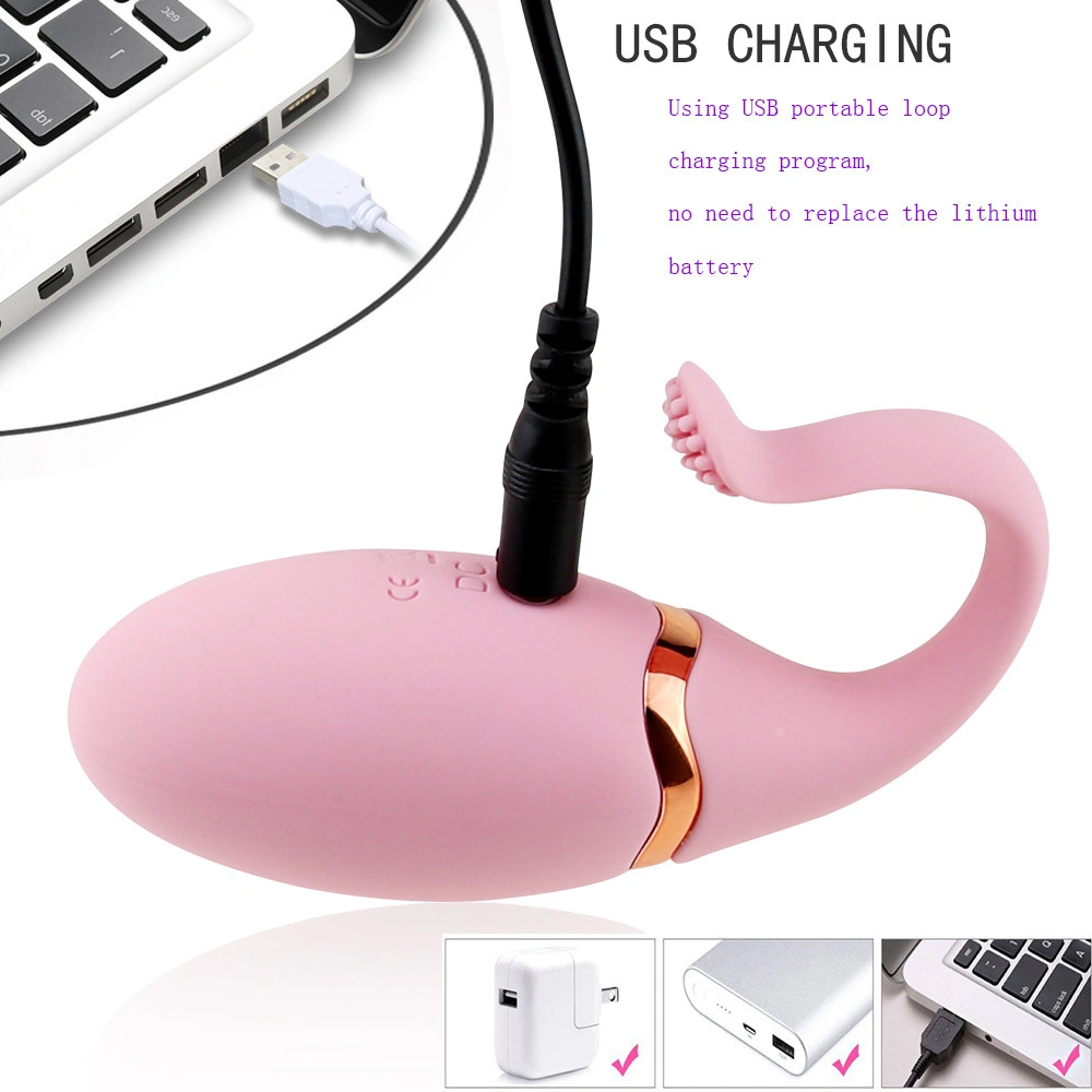 Mog Rechargeable 10 Frequency USB Remote Control Vibration Egg Adult Sex Toy for Female Masturbate