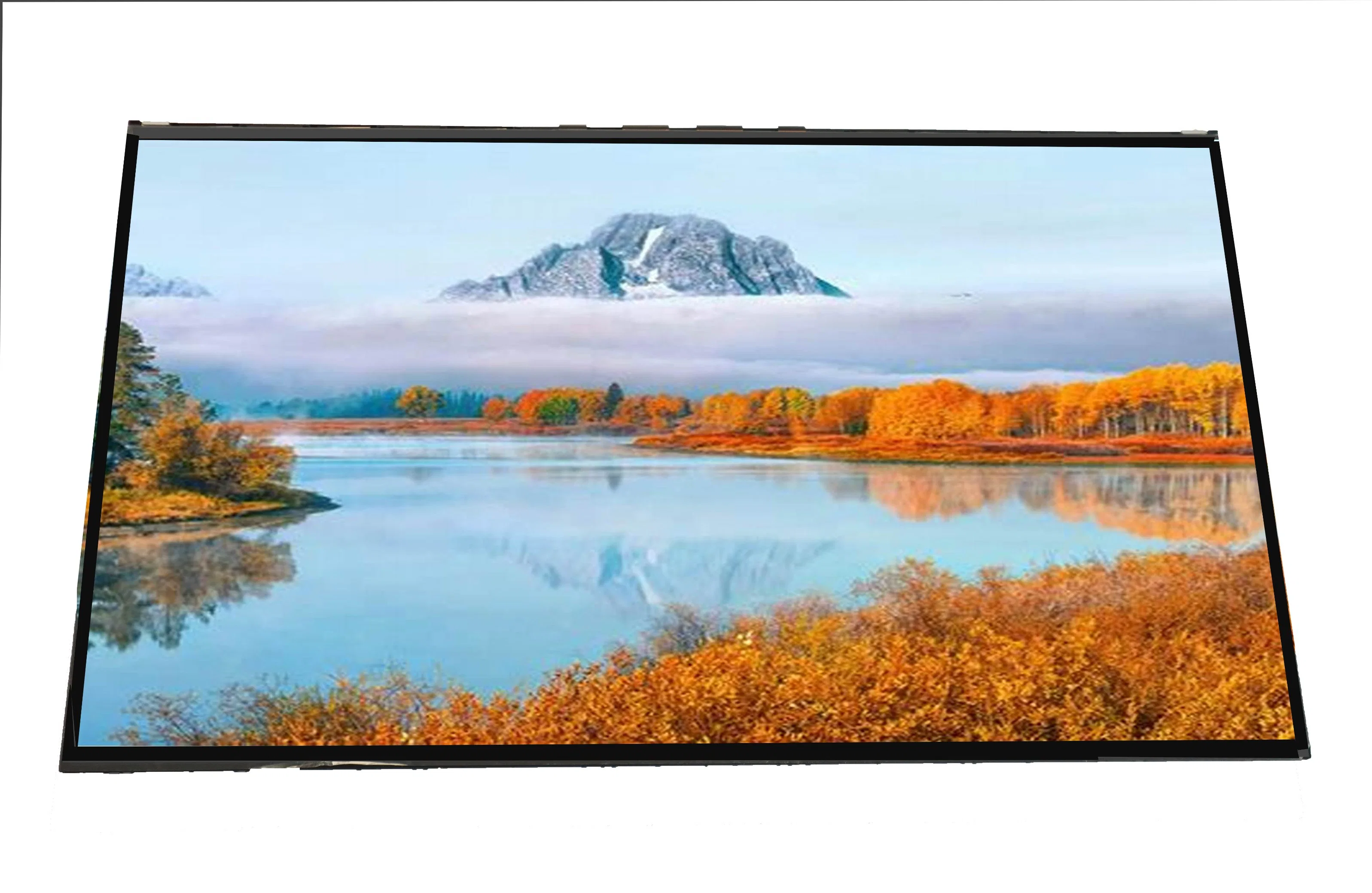 27 Inch 1920*1080 Large Size LCD Module