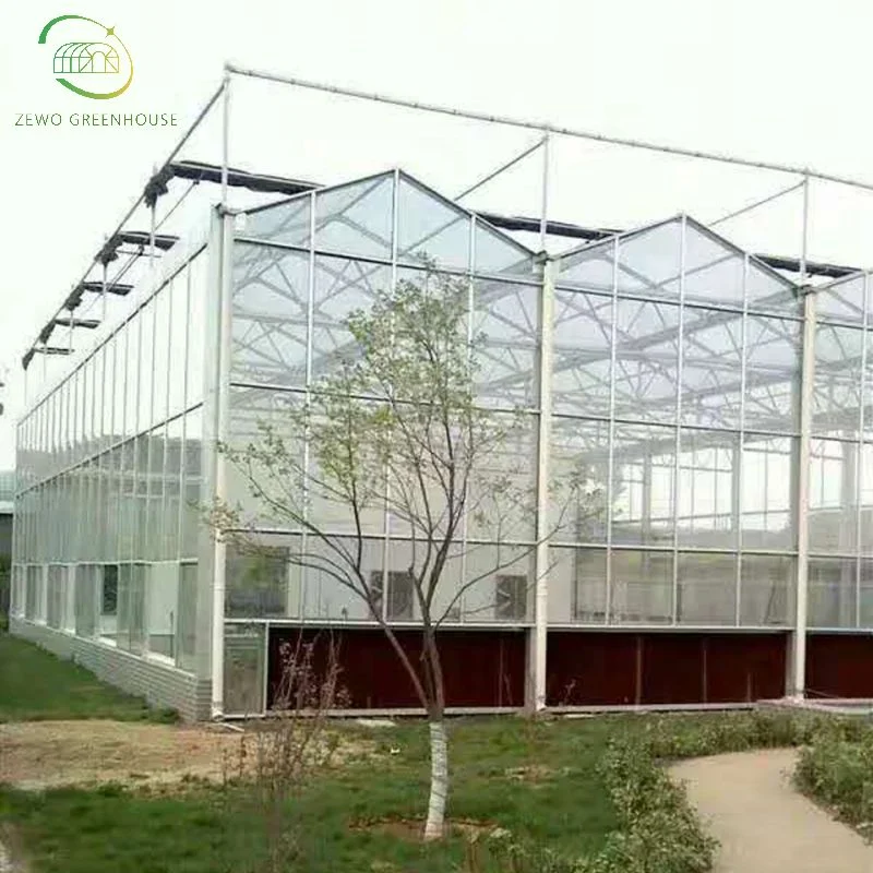 Venta caliente Agricultura moderna Hidropónicos Multispan-invernadero de vidrio con riego automático Sistema
