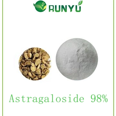 Hot Sell Product Astragalus Root Extract Astragaloside 98% CAS 84687-43-4