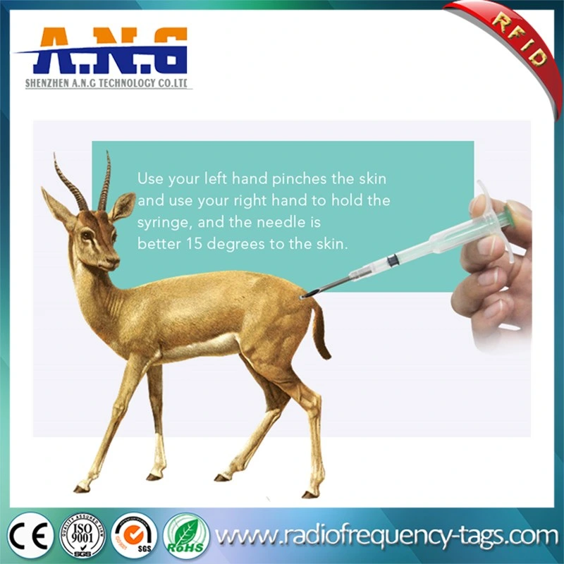 2.12*12mm Fdx-B RFID ID Transponder Animal Chip Implants in Animal