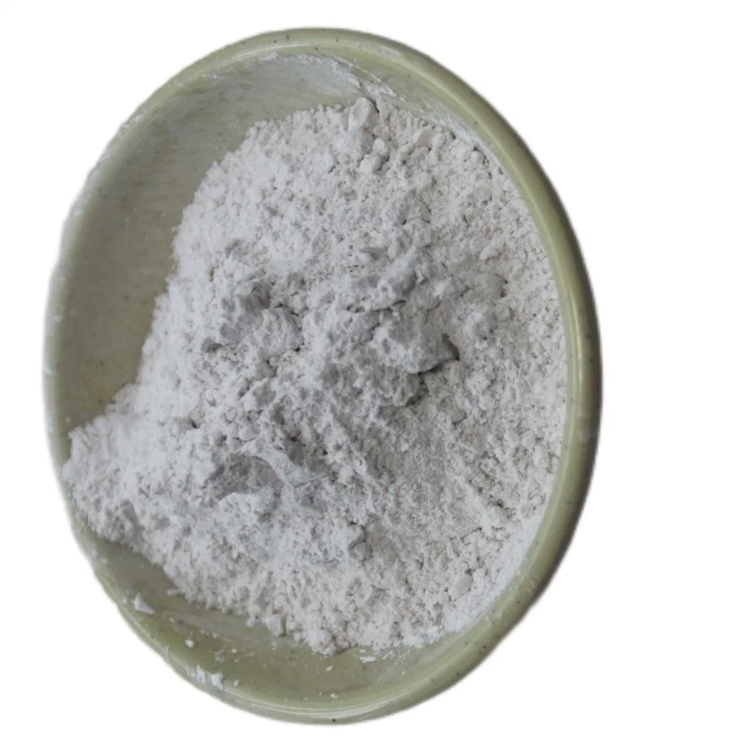 Dolomite Powder HS Code 283660 for Building Material