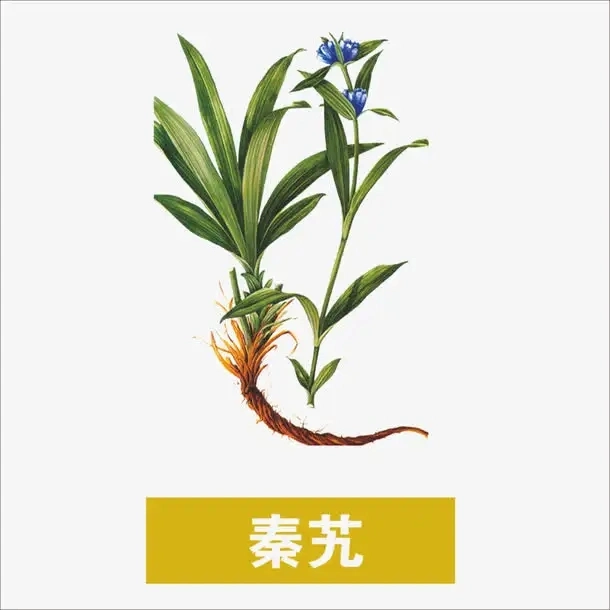 GMP Standard Factory Supply Gentiana Crassicaulis Formula Granule vorbereitet Chinesisch Medizin