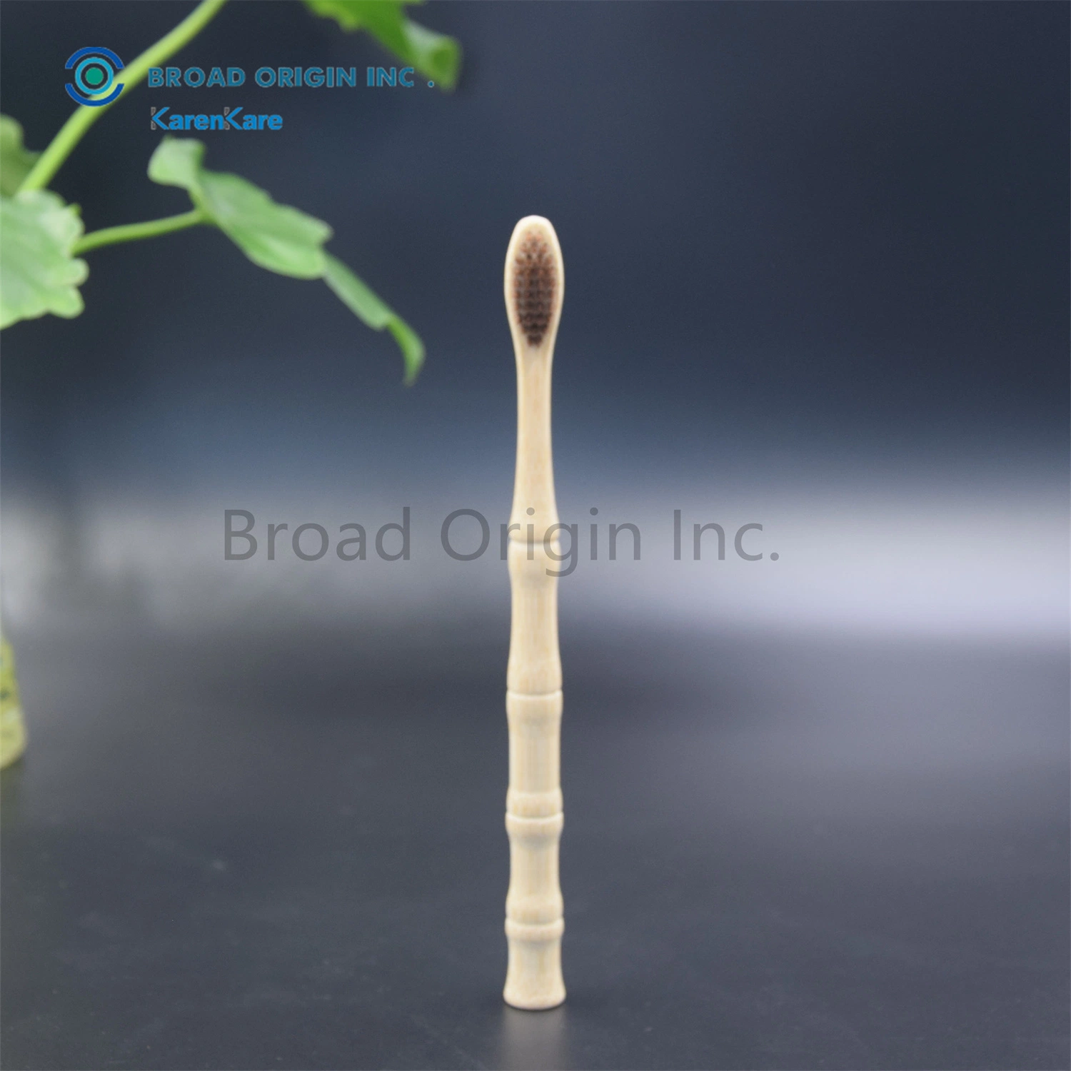 100% Environmental Best Selling Naturalbamboo Toothbrush Factory