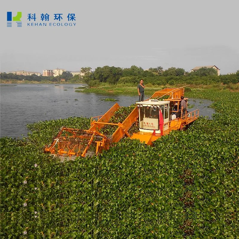 Aquatic Weed Harvesting Boats for Water Plants Removal on Sales