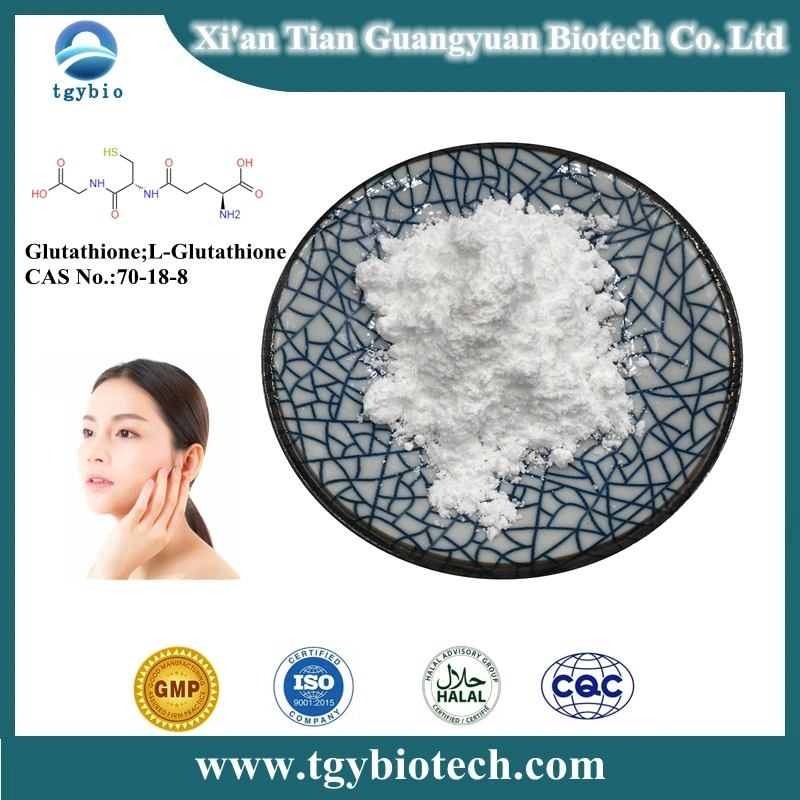 High quality/High cost performance  Glutathione /L-Glutathione Powder Reduced CAS 70-18-8