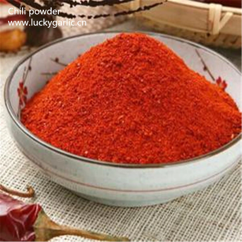 Good Quality Excellent Chili Powder for Export