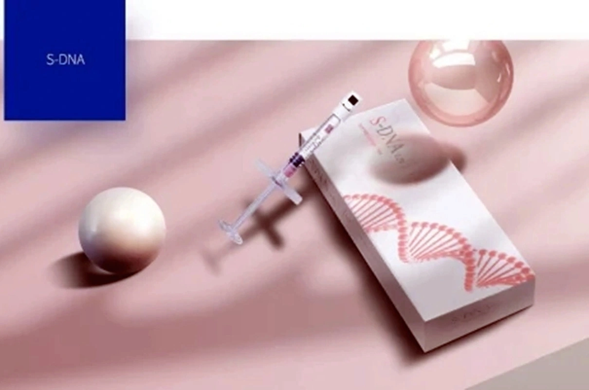 CE Best Cross Linked H-DNA S-DNA Pdrn Injectable Gel Injection Lip Augmentation Korea Dermal Filler