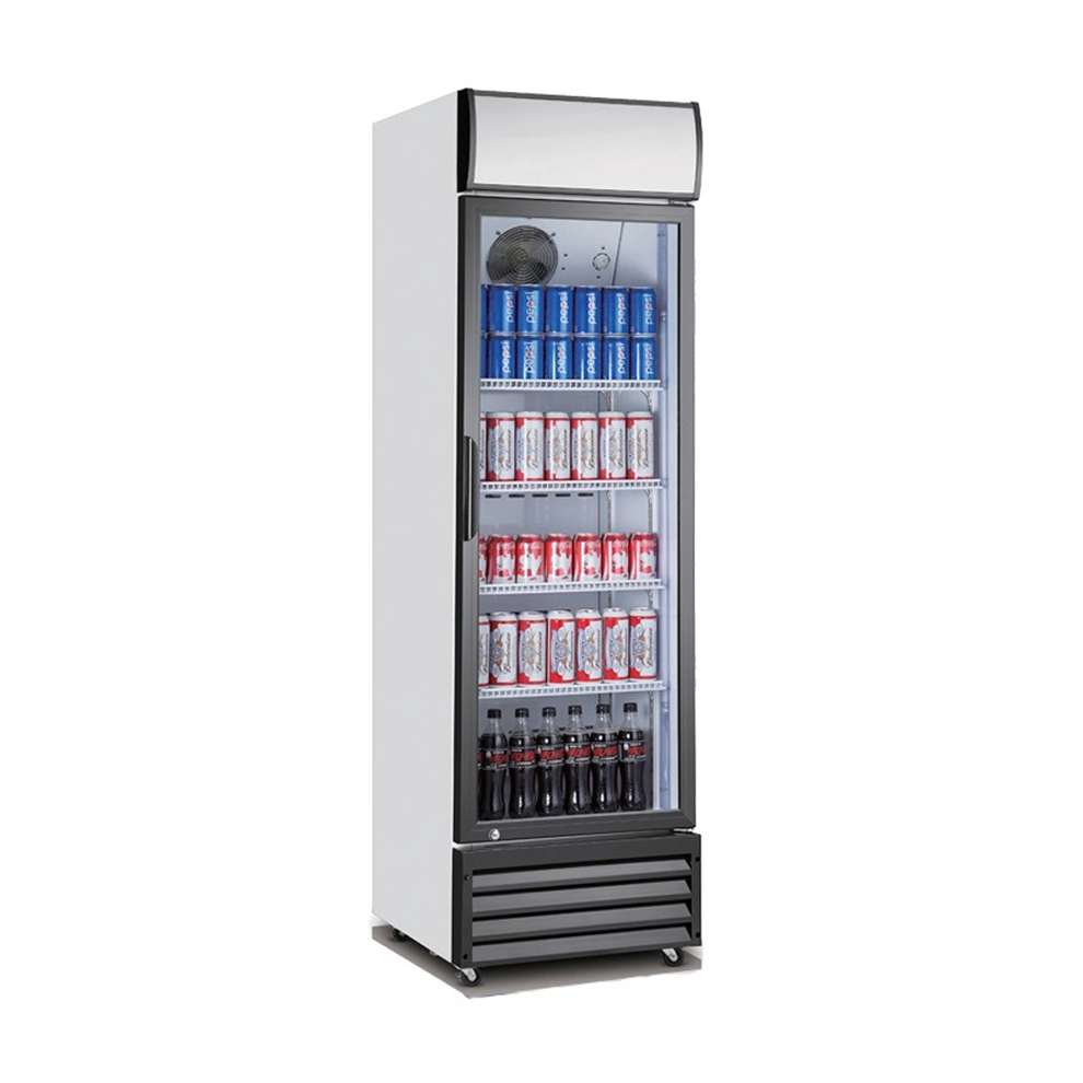 400L Capacity Beverage Cooler and Refrigerator with Glass Door